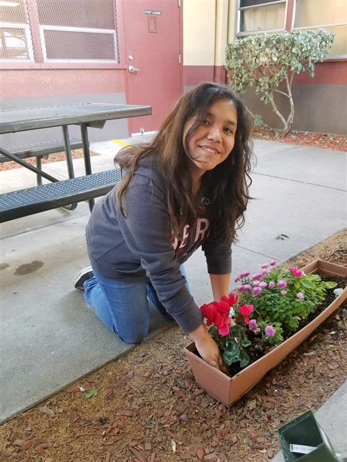 Campus Beautification Project 